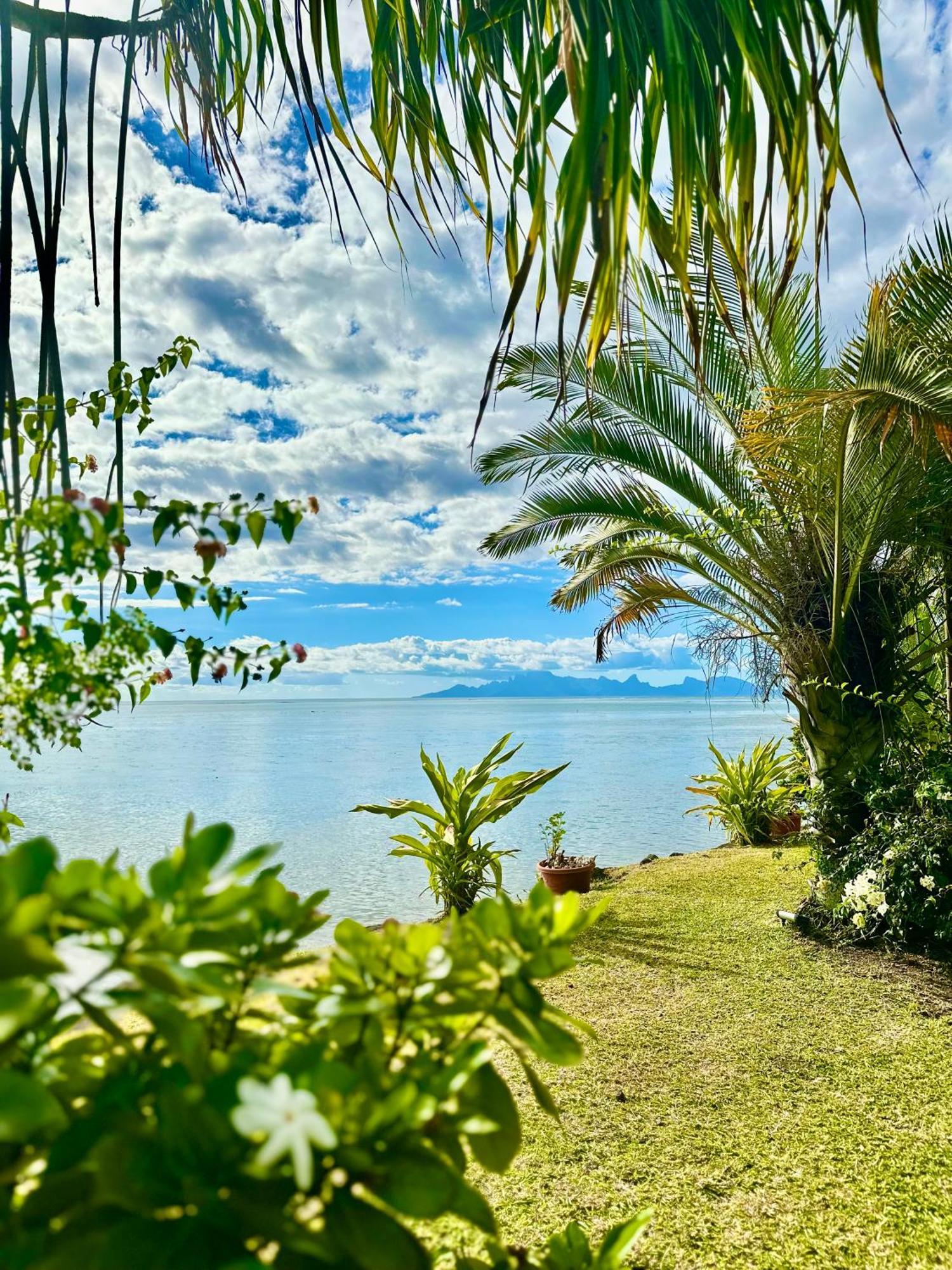 O'Coco Bungalow- Breathtaking Waterfront Views, Endless Memories Paea Екстериор снимка