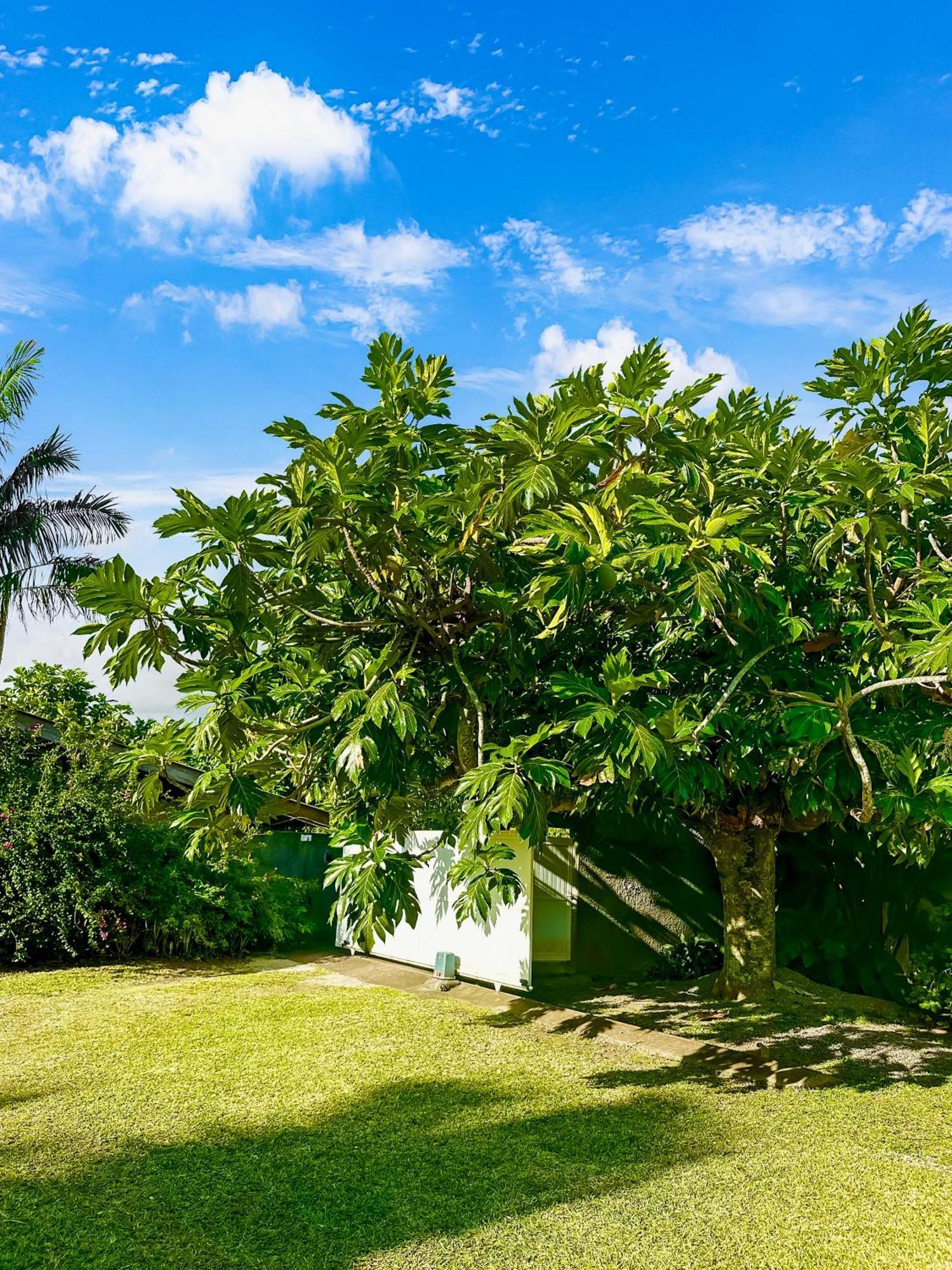 O'Coco Bungalow- Breathtaking Waterfront Views, Endless Memories Paea Екстериор снимка